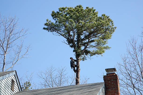 Lawn Irrigation Installation and Maintenance in Dahlgren, VA